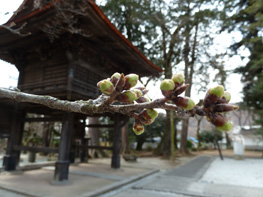 恵林寺